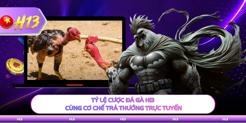 Tỷ lệ cược đá gà H13 cùng cơ chế trả thưởng trực tuyến 